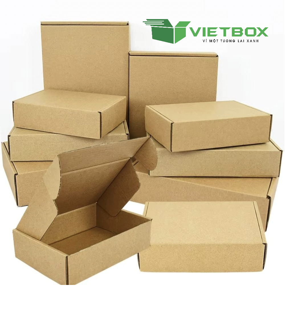Hộp Carton Nắp Gài